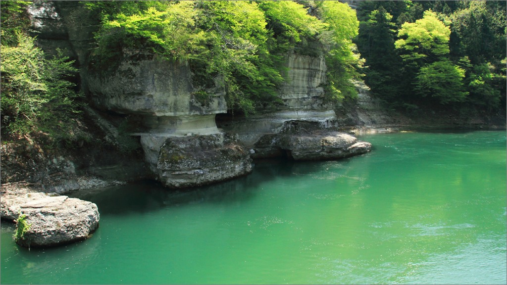 e0149577_15585621.jpg