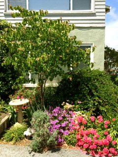 c0063182_155359.jpg