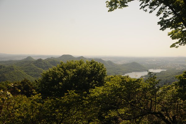 d0074683_5393950.jpg