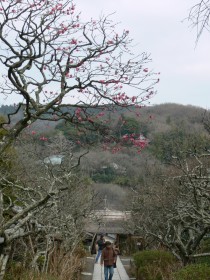 c0168984_00352676.jpeg
