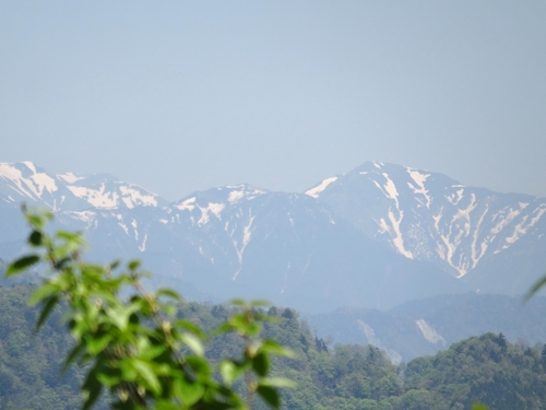 d0212491_1738191.jpg