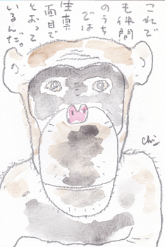 a0030594_22293637.gif