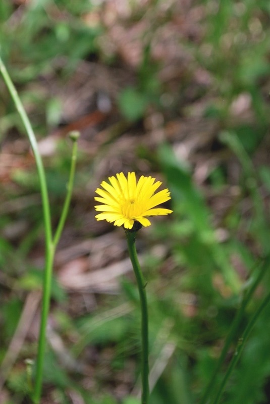 e0025300_21484624.jpg