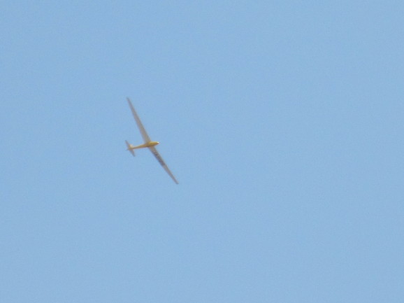d0163003_012891.jpg