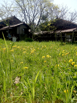 a0201204_1225936.jpg