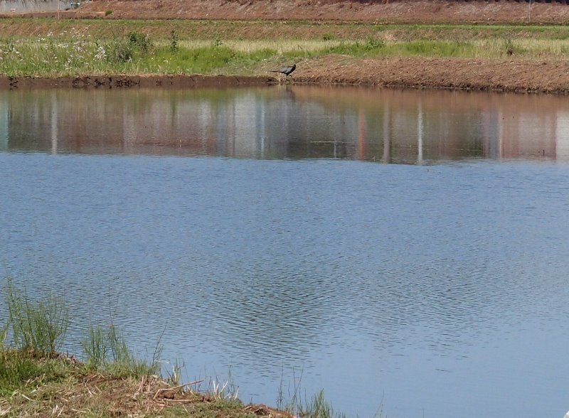 e0018604_16423343.jpg