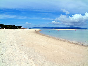 b0251705_628054.jpg