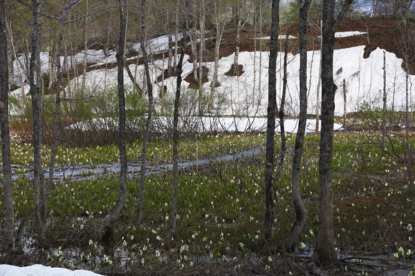 a0251508_21421420.jpg
