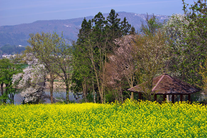 a0263109_22431155.jpg