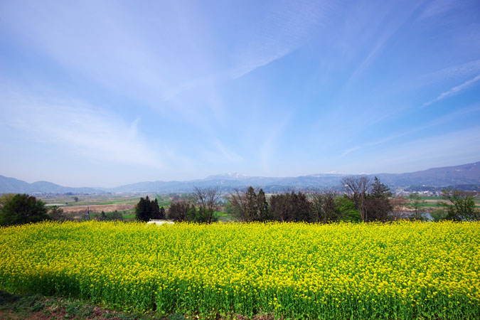 a0263109_22432521.jpg