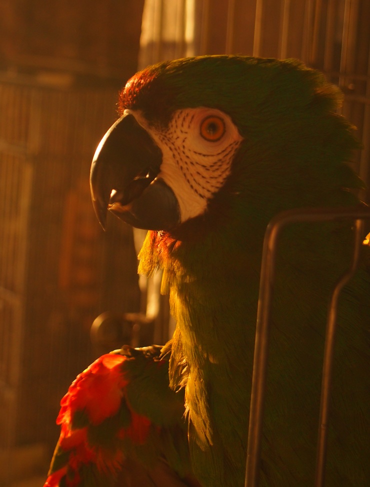 d0081210_11291376.jpg