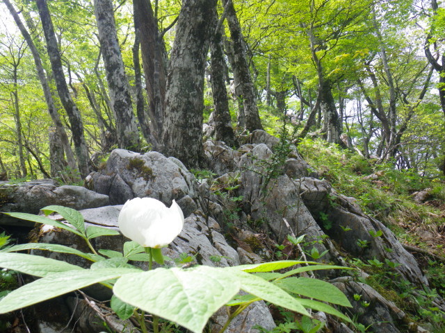 d0006512_00285130.jpg