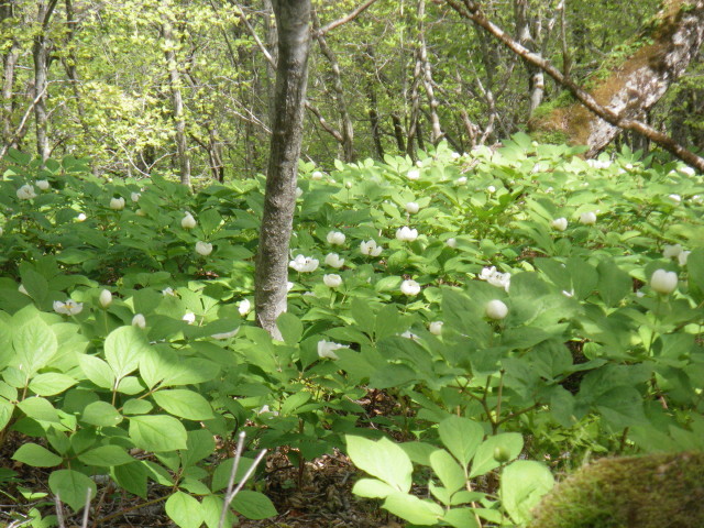 d0006512_00315865.jpg
