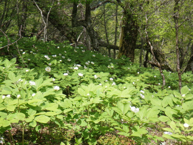 d0006512_00322001.jpg