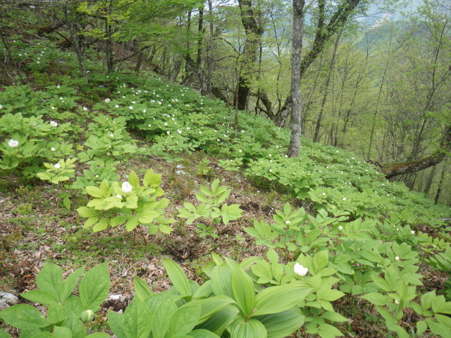 d0006512_00351684.jpg