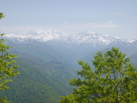 d0170615_9464018.jpg
