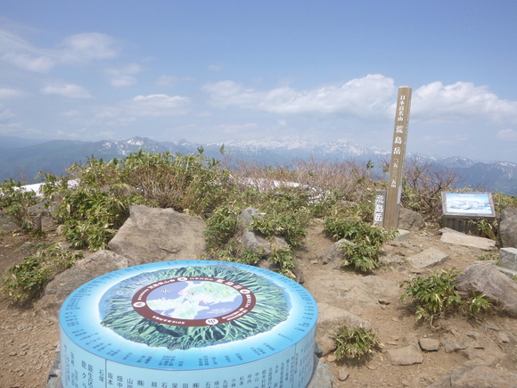 d0170615_947169.jpg