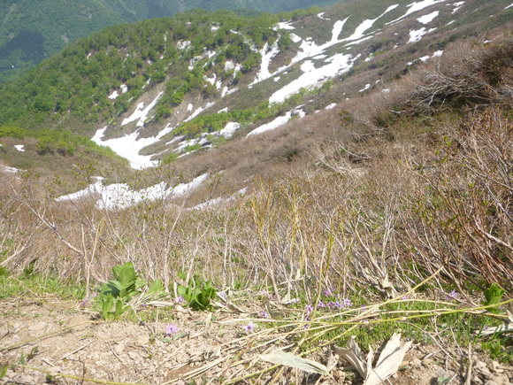 d0170615_947786.jpg