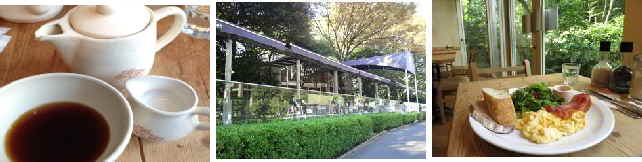 e0047322_2323661.jpg