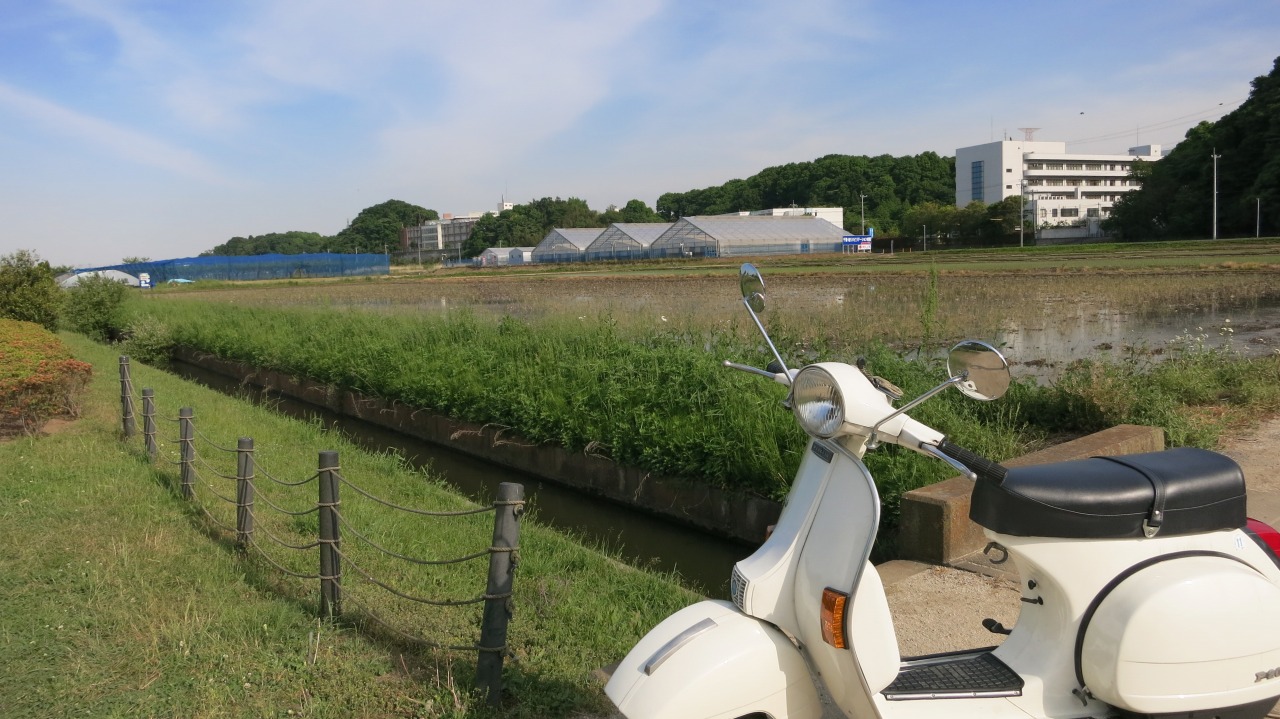 f0225627_2121337.jpg