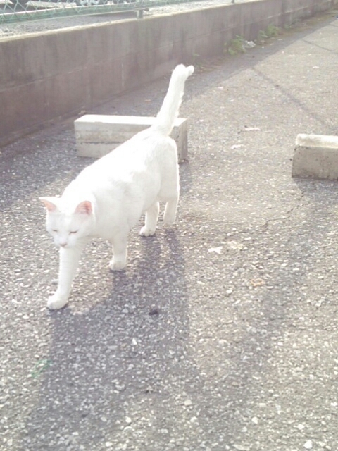 f0329129_22192175.jpg