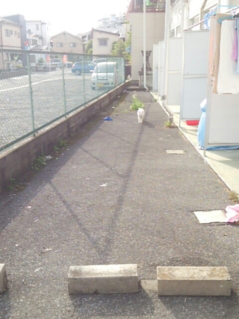 f0329129_22192510.jpg
