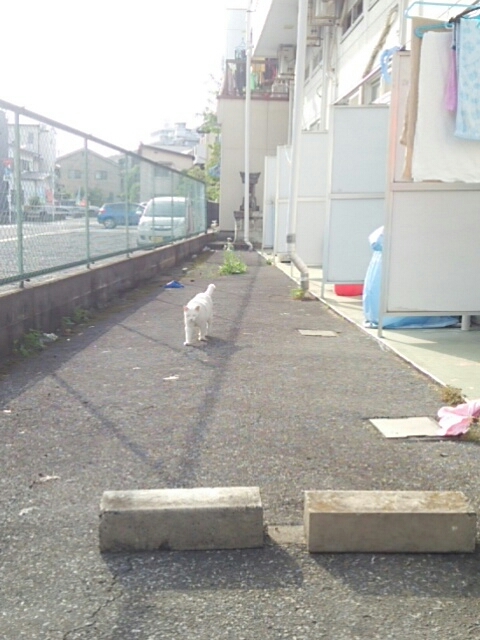 f0329129_22192933.jpg