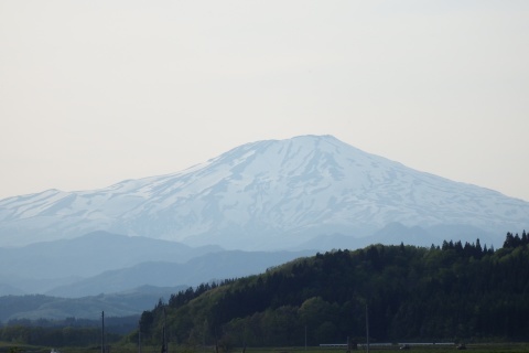 f0118332_22060937.jpg
