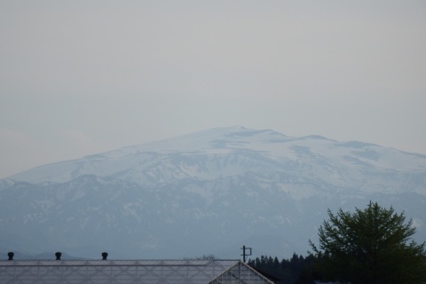 f0118332_22063994.jpg