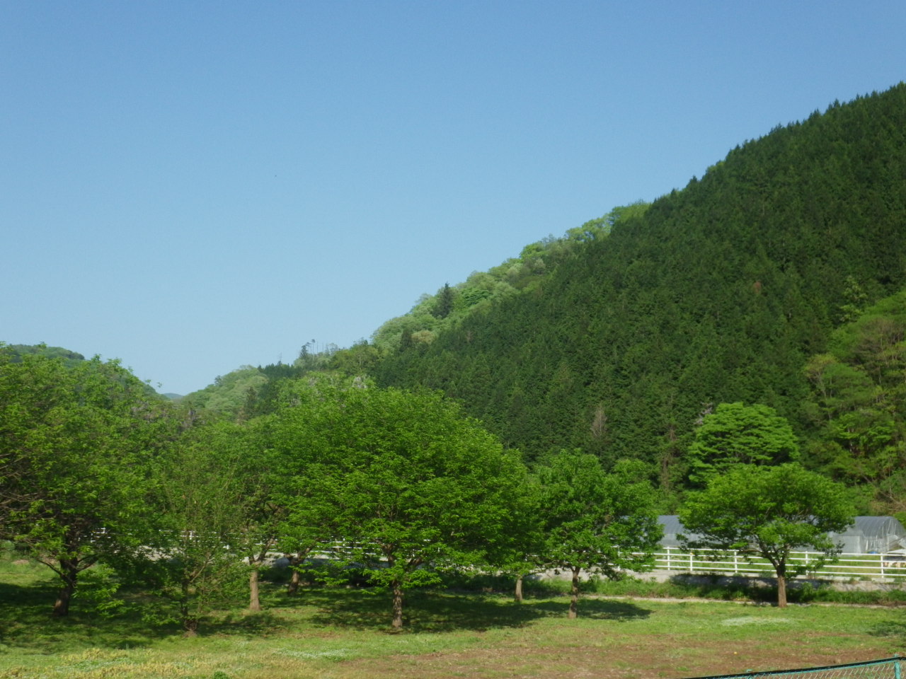 c0300035_8444476.jpg