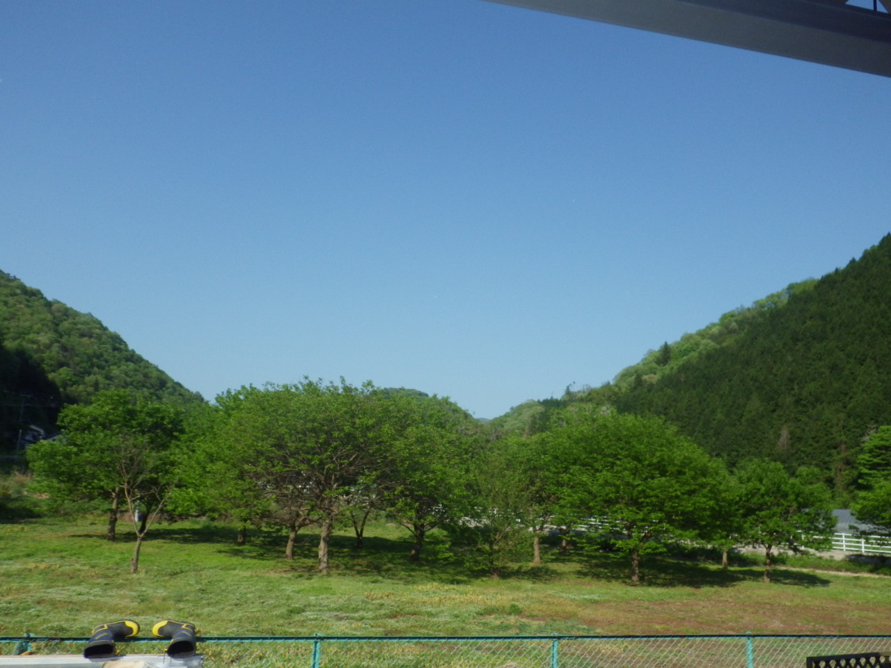 c0300035_8445673.jpg