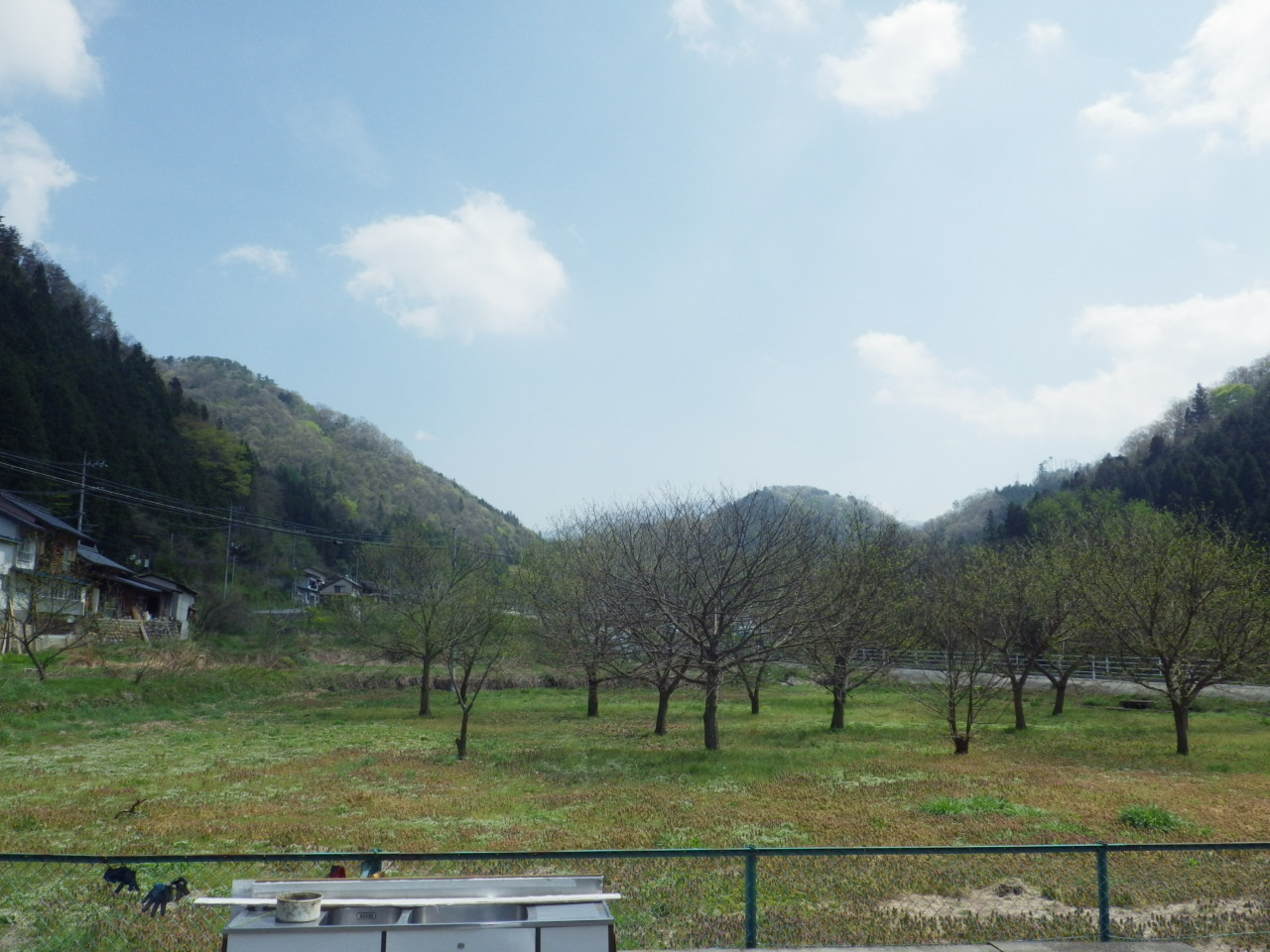 c0300035_8462885.jpg