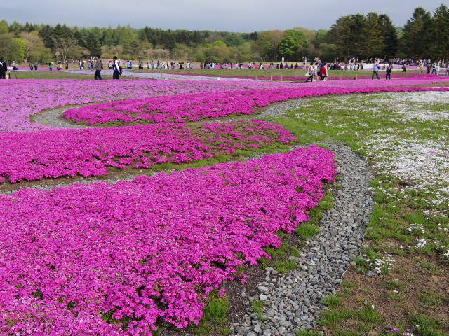 f0300637_09564092.jpg