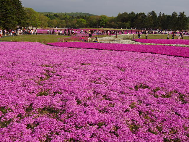 f0300637_09583564.jpg