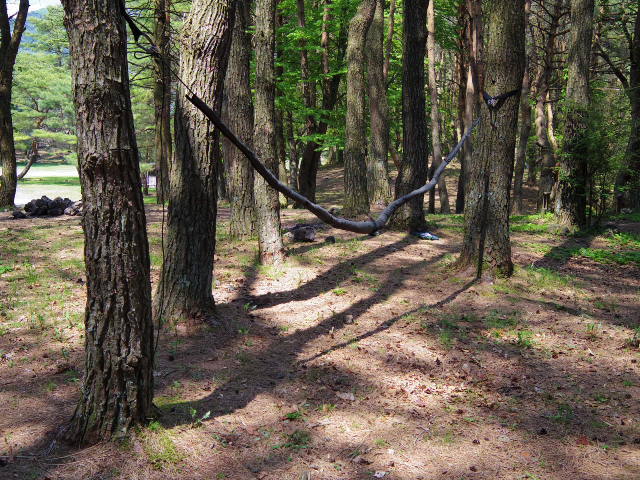 f0300637_09593902.jpg
