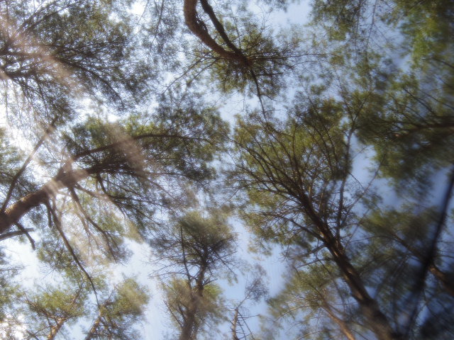 f0300637_10023158.jpg