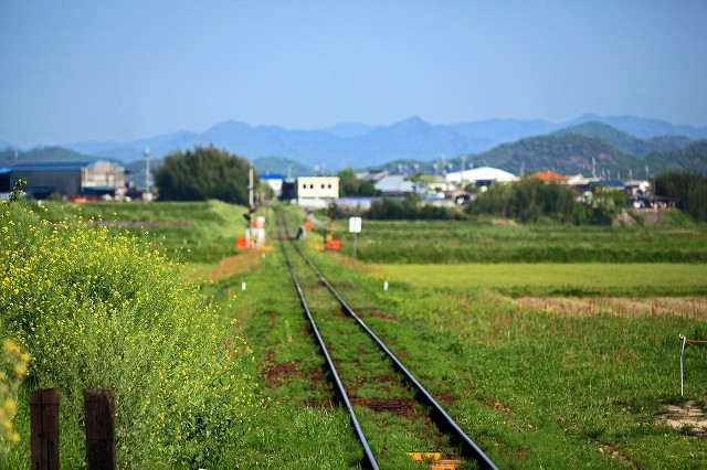 a0242438_19371521.jpg