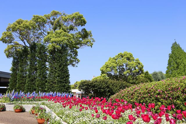 a0242438_19392010.jpg