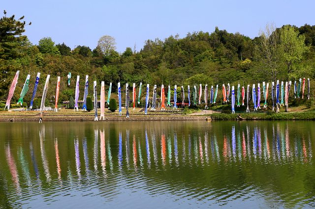 a0242438_19395510.jpg
