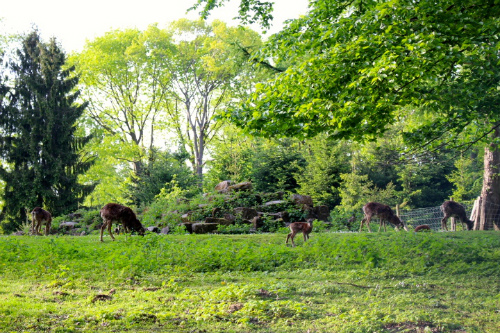 c0153740_17362899.jpg