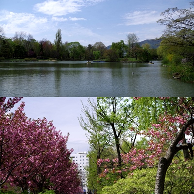 e0309644_1255133.jpg