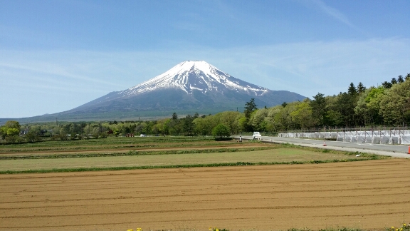 f0046854_1675497.jpg