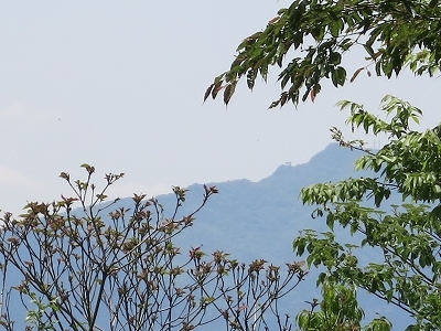 e0170558_00023968.jpg
