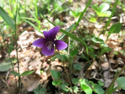 e0170558_00053659.jpg