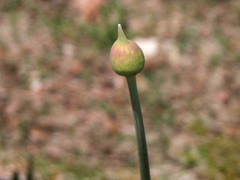e0088260_09270031.jpg