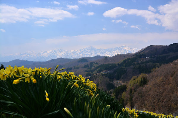 c0043361_23355786.jpg