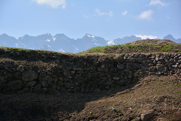 c0043361_23405822.jpg