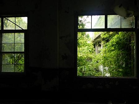 c0172261_5353342.jpg