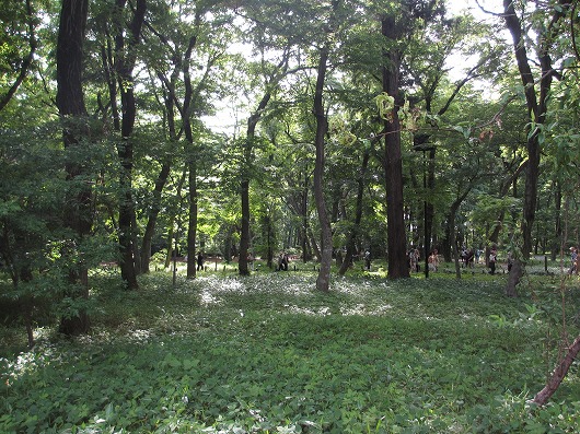 b0145863_20585827.jpg