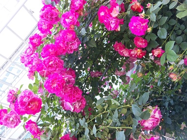 d0060668_1350388.jpg